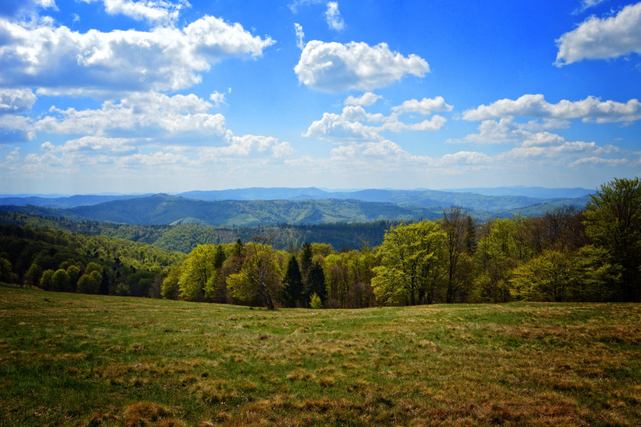 widok z Hali Jaworowej na Brenną i Szczyrk